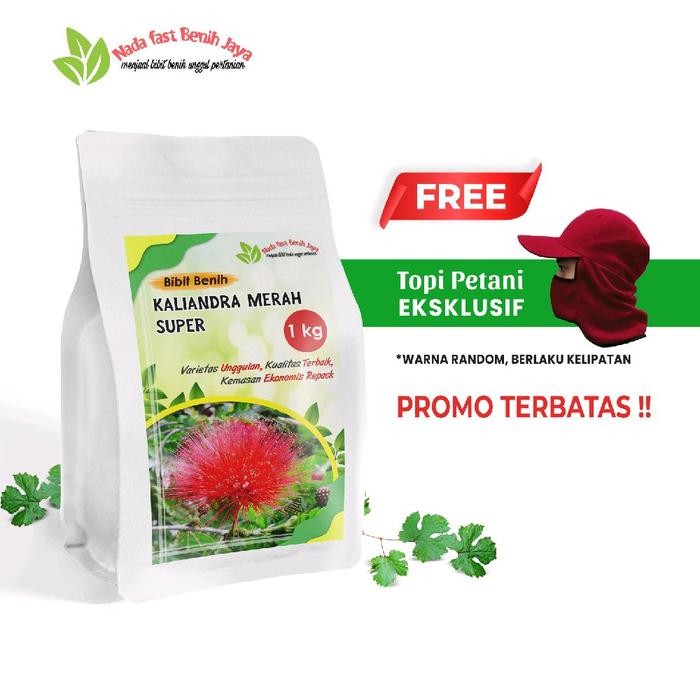 1 Kg Benih biji kaliandra merah super / bibit benih kaliandra benih Tanaman