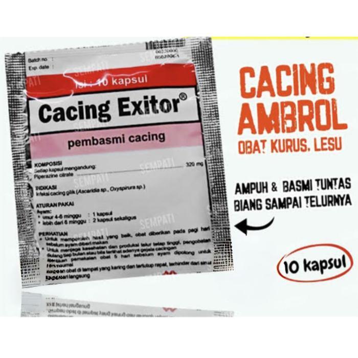 CACING EXITOR OBAT CACING AYAM CACING EXITOR OBAT AYAM SAKIT CACINGAN OBAT CACING AYAM UNGGAS BEBEK