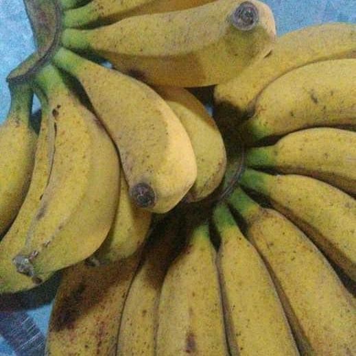 

Pilihan- Pisang Raja Bulu Super