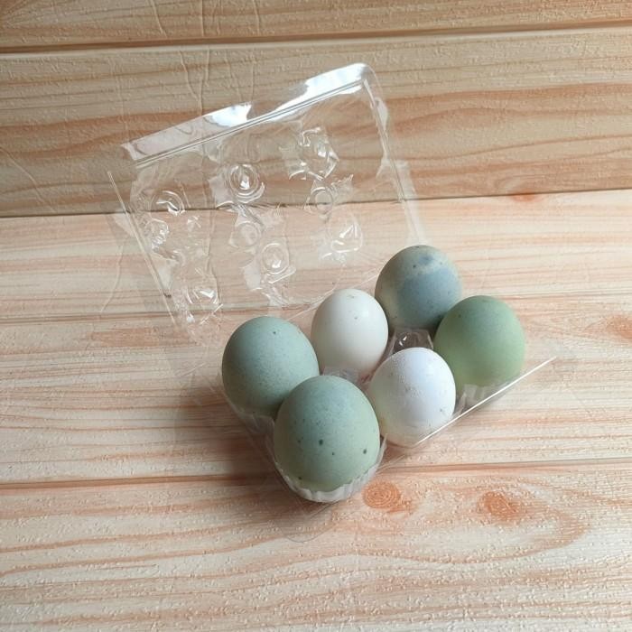 (Allthebest) Mika telur isi 6 (tanpa pengunci) per pack