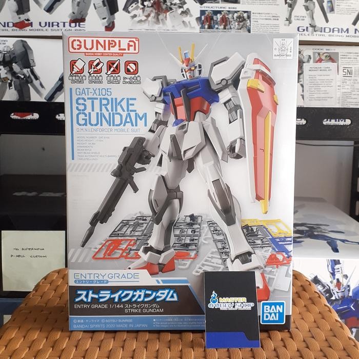 Pilihan- Entry Grade Strike Gundam