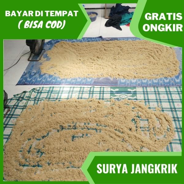 PetShoPq- Jual Telur Jangkrik Jombang Telur Jangkrik Madu Super Siap Menetas