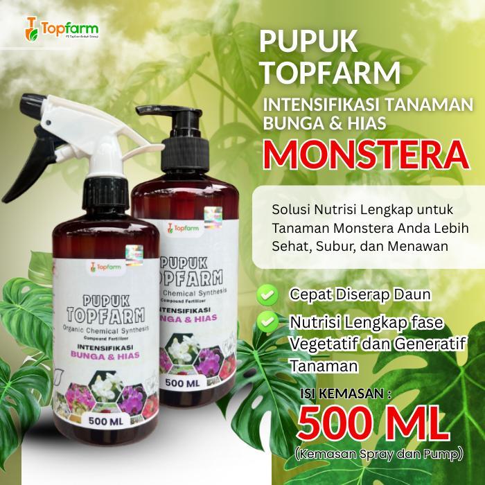 PUPUK TANAMAN MONSTERA / PUPUK TANAMAN HIAS VARIEGATA / PUPUK PENYUBUR TANAMAN HIAS SIAP PAKAI /
