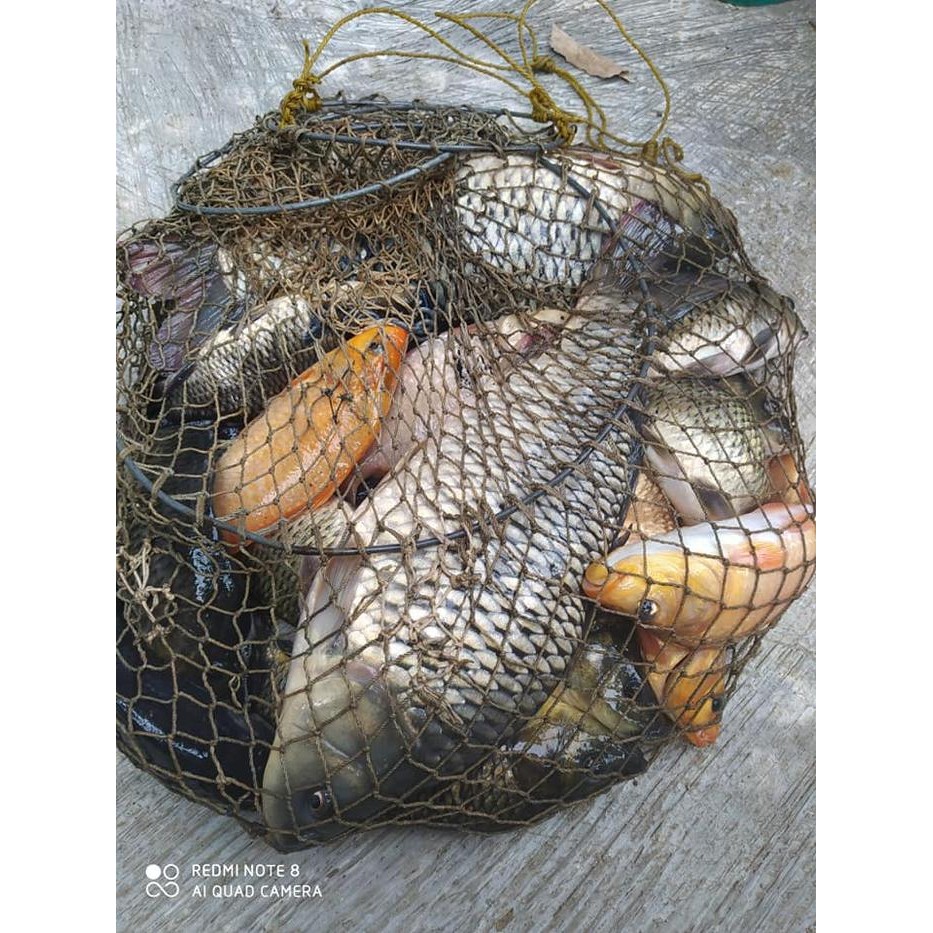 ESSEN INSTINCT STRIKE PREMIUM MANCING IKAN MAS DIJAMIN ANTI ZONK