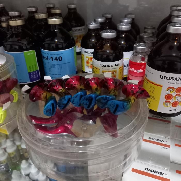 Sawangan peluit priwitan sempritan burung dara balap corak Cobra.