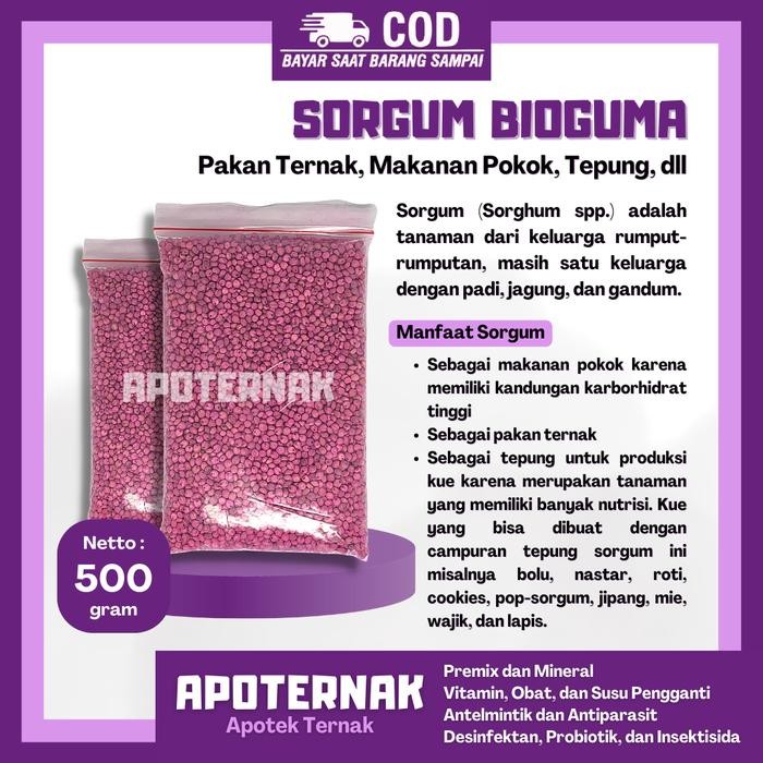 ID BIJI BENIH SORGUM BIOGUMA 500GR BIBIT PAKAN TERNAK, MAKANAN POKOK