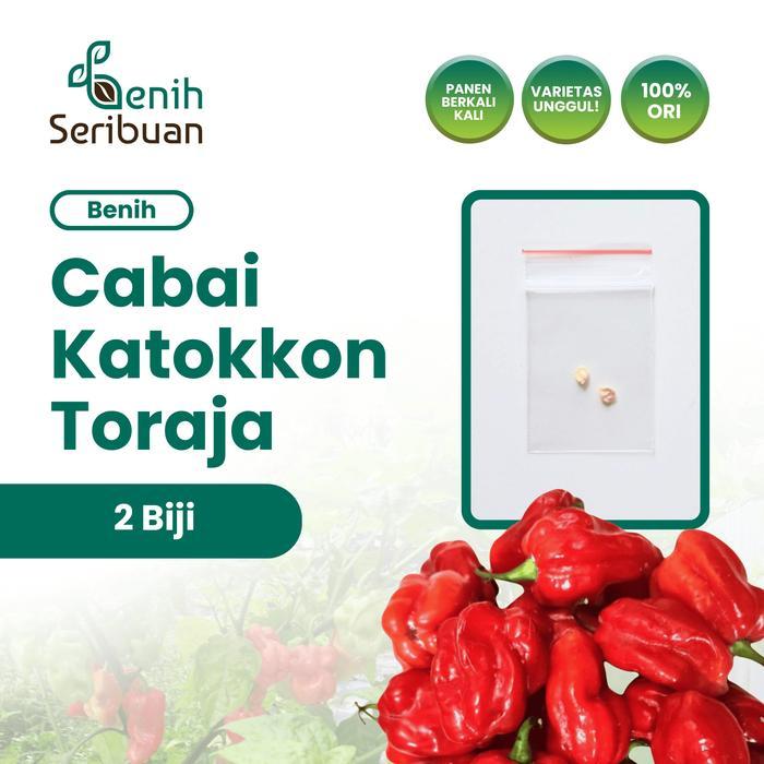 BIBIT F1 BENIH CABE KATOKKON TORAJA SUPER ASLI BENIH CABAI SAYURAN HIAS SUPER
