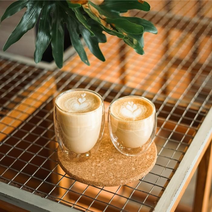 FCR0  Gelas Double Wall Borosilicate Serena Vienna 350Ml