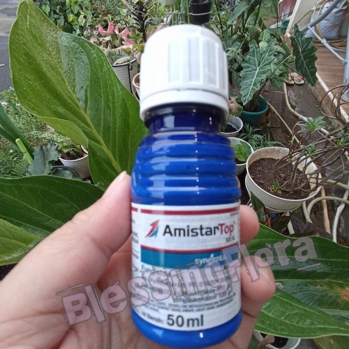PROMO AMISTAR Top 325 SC 50ml