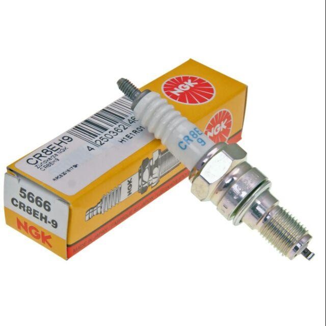 Limited Busi Honda Cb400 Cb 400 Cbf 500 Super Four Sf Ngk Cr8Eh-9 98059-589J6 Terlariss 