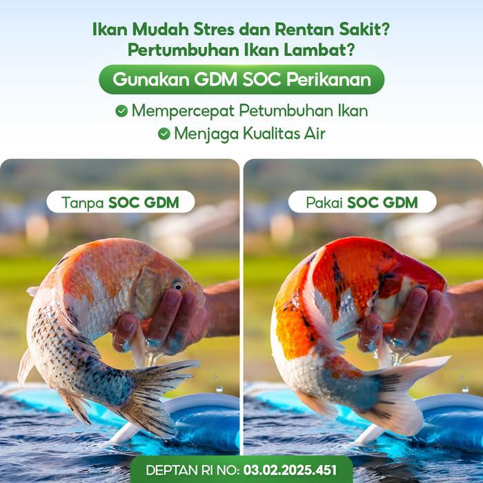Suplemen Organik Cair GDM Perikanan 5L Probiotik Perikanan Air Jernih & Ikan Cepat Besar Lele Nila