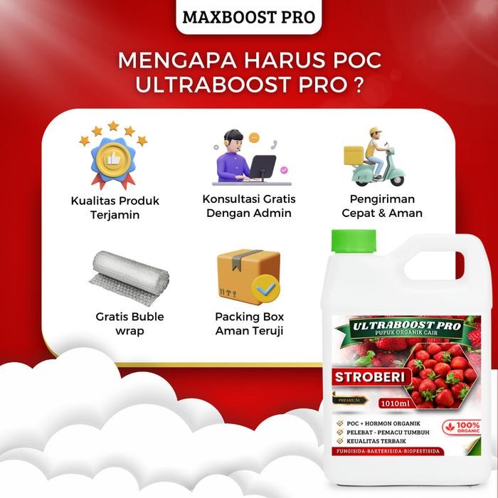 

Promo Pupuk Organik Cair Ultraboost Pro Khusus Tanaman Stroberi, Strawberry - Nutrisi Lengkap Untuk