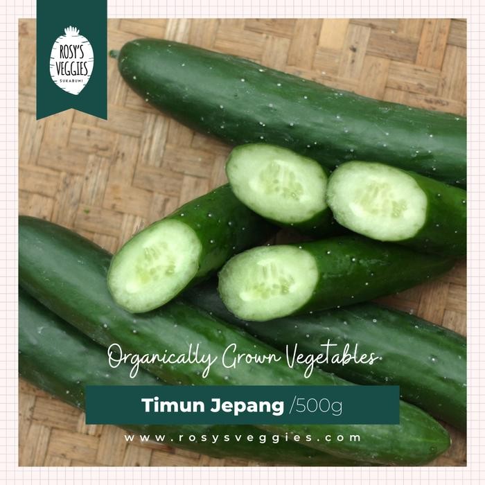 

Pilihan- Timun Jepang Organik Kyuri 500 Gram