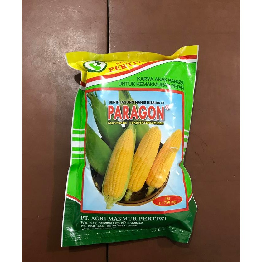 Benih Jagung Manis Paragon