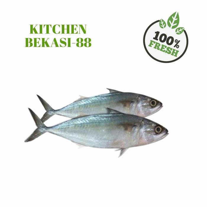 

Pilihan- Sayuran Segar Ikan Kembung Bajar 500 Gram Fresh Laut