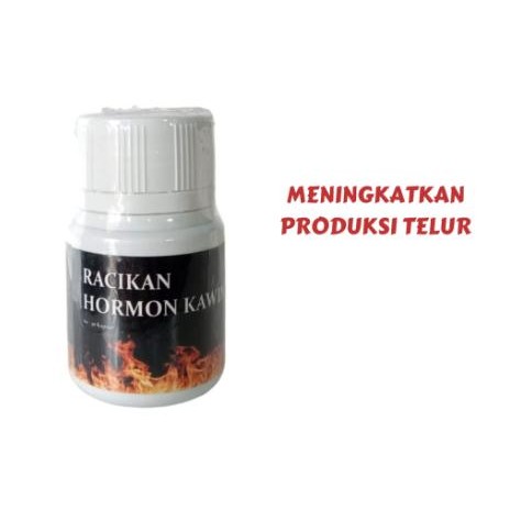 Pilihan- Hormon Kawin Ayam Petarung Ernov