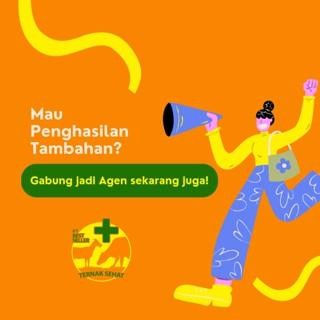 Chocolatoslatoe Veta B Plex Inj 100Ml - Vitamin B Kompleks Untuk Hewan - Vitamin B Komplek Hewan