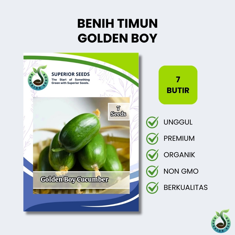 Biji Benih Timun Kecil Mini Kulit Halus Golden Boy | Timun Anak Emas (Superior Seeds)