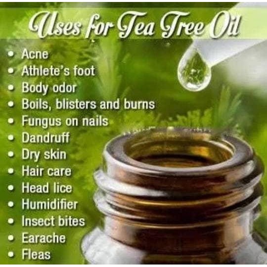 New Tea Tree Oil/Pure Essential Oil 5 Ml