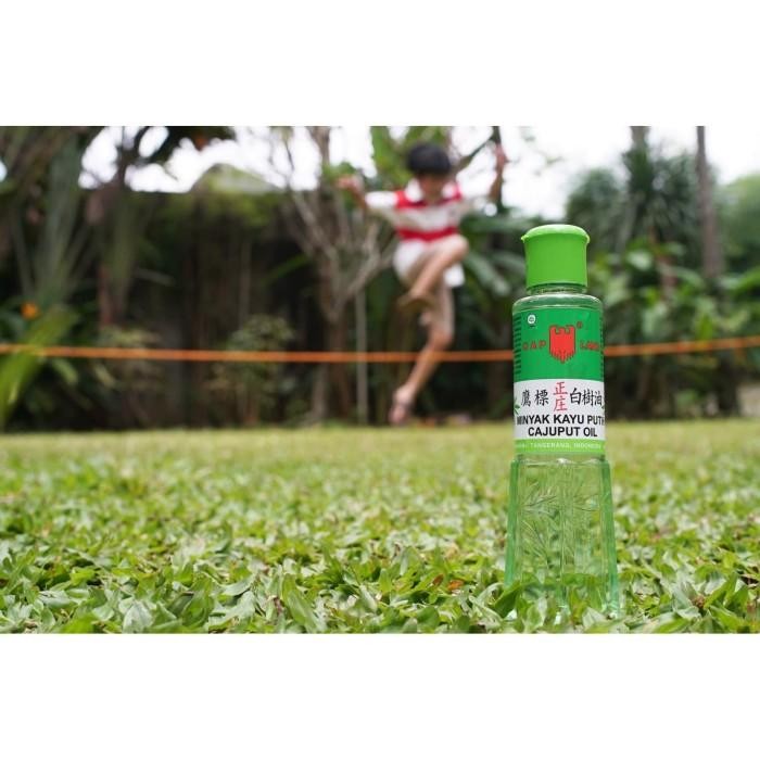 Sedia kayu putih cap lang 210ml 210 ml kayu putih ambon