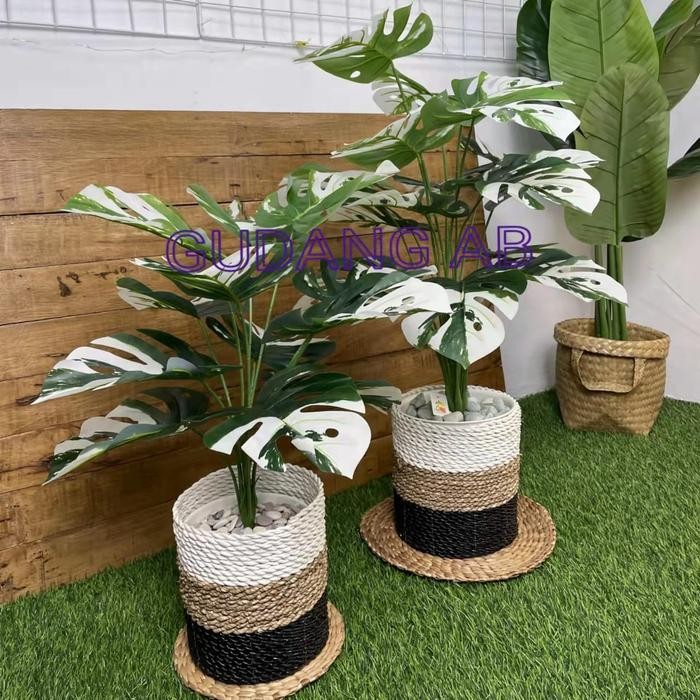 BUNGA PLASTIK HIAS MONSTERA VARIEGATA DAUN 18 DAN 12 BUNGA ARTIFICIAL
