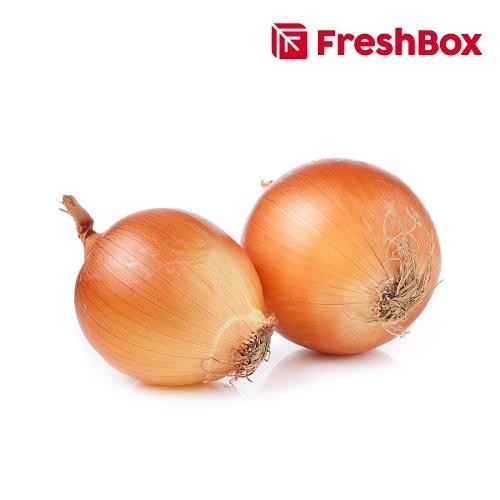 

Stok Baru Bawang Bombay (Onion) 500 gr FreshBox