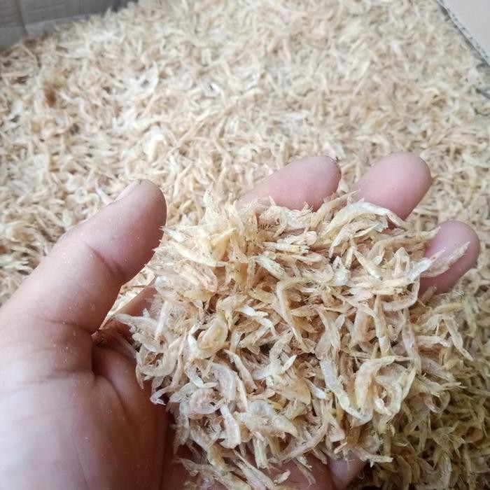 

Pilihan- Udang Rebon Tawar/Udang Rebon Tawar Halus Kering:500 Gram