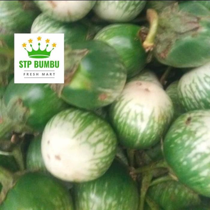 

Pilihan- Terong Bulat Hijau / Terong Lalap Hijau