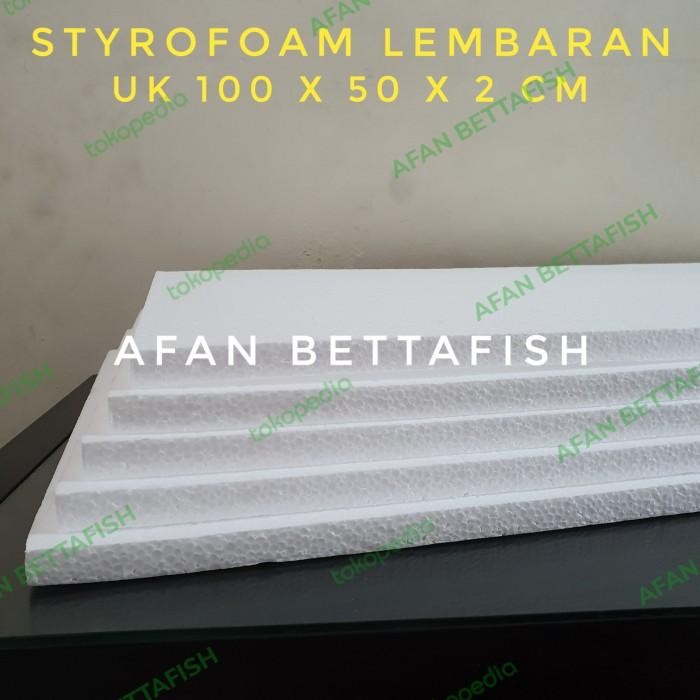 Pilihan- Styrofoam Lembaran Medium Uk 100 X 50 X 5 Cm / Sterefoam Lembaran