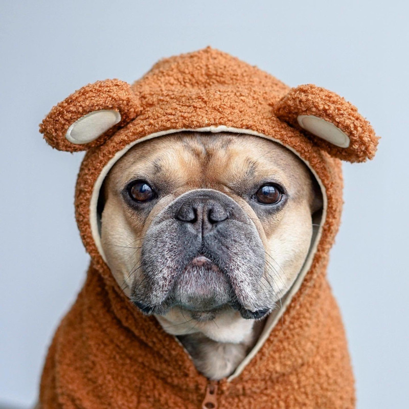 French Bulldog Clothes Winter English Bulldog Clothing American Bully Pitbull Costume Apparel Dropsh