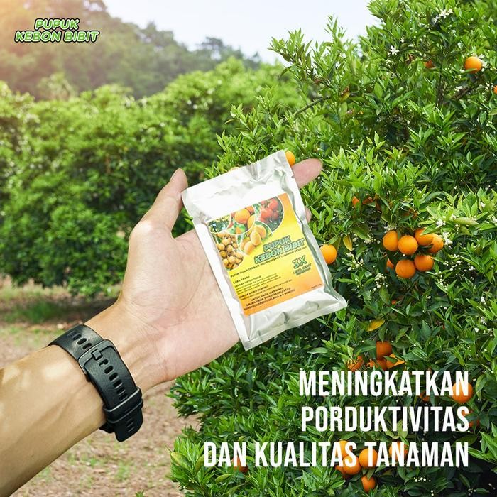 PUPUK KEBON BIBIT Beli 1 Dapat 2