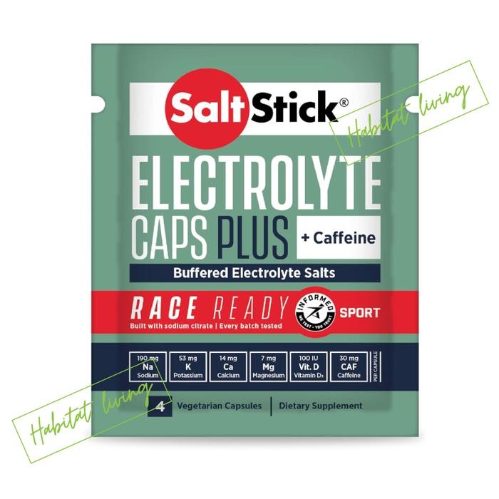 skig- Salt Stick Electrolyte Fast Chews