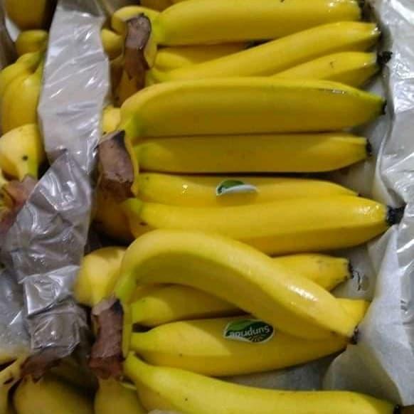 Pisang Sunpride Cavendish