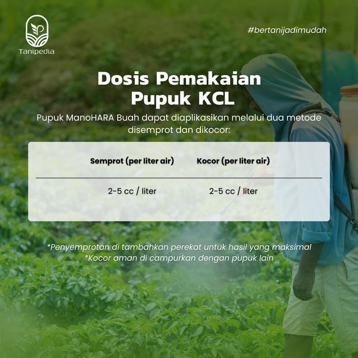 Zumi_Zumi07 (Gratis Sarung Tangan) Manohara Buah - Pupuk Kcl Cair - Untuk Buah Umbi Padi Dan Sayur -