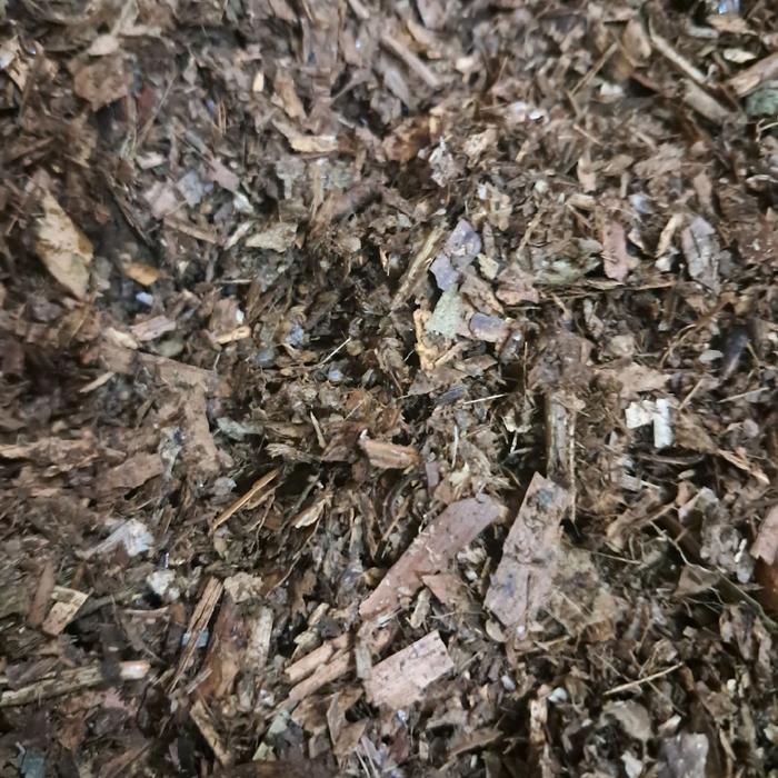 NEW humus bambu hutan murni pengembur media tanam bebas tanah bebas hama