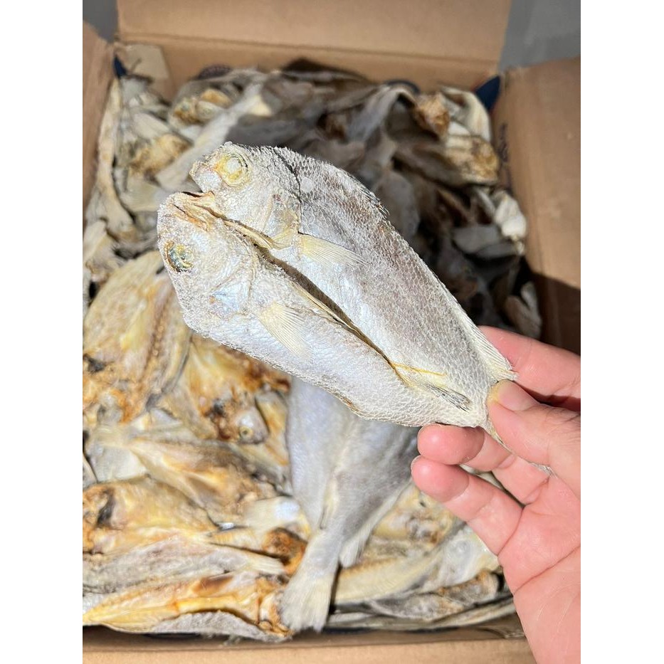 

Pilihan- Kepala Batu / Samge 1Kg Belah [Ikan Asin Murah][Super]