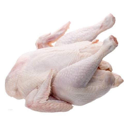 

Pilihan- Ayam Boiler Daging Segar Bandung