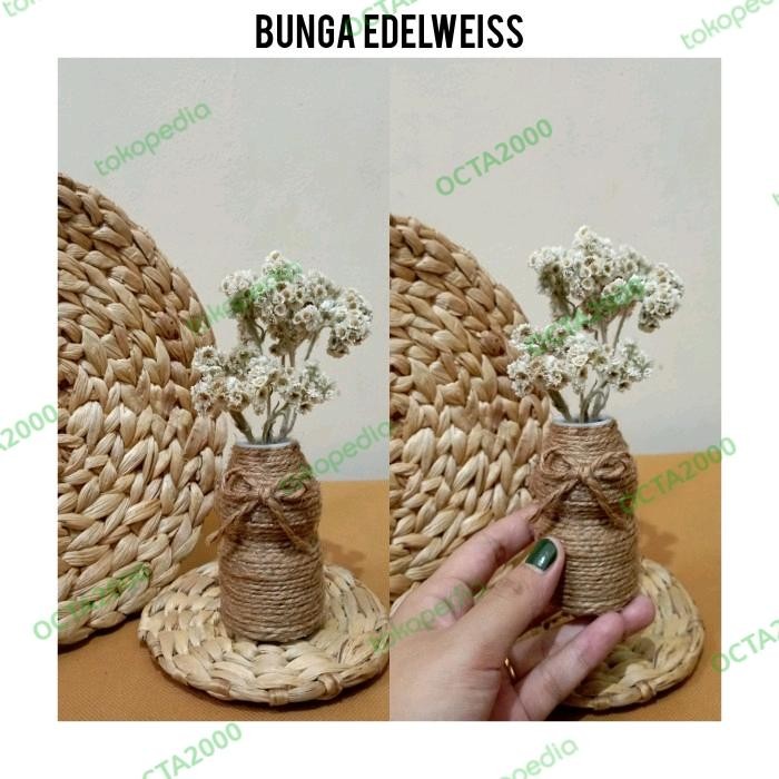 Bunga Kering Plus Vas Plastik Mini Aesthetic