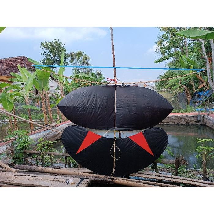 Layangan gapangan sawah layang layang