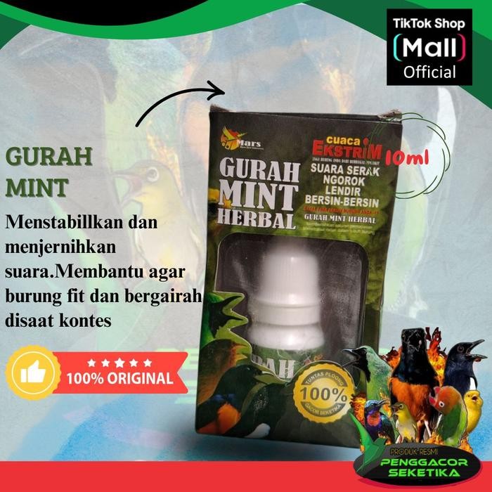 Phoenix Petindo - Gurah Mint Serak Volume Penggacor Burung Berkicau Burung Berkicau