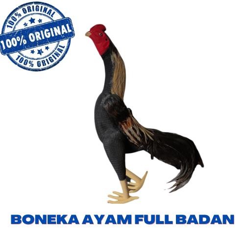 PetShoPq- Boneka Ayam Full Badan - Untuk Melatih Ayam