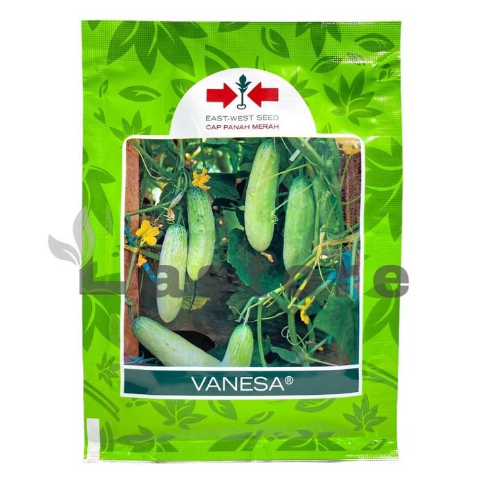 Stok Baru Benih Timun Mentimun VANESA Isi 20 gram Cap Panah Merah