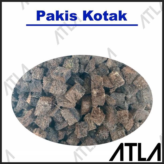 AKAR PAKIS KOTAK POTONGAN MEDIA TANAM BUNGA ANGGREK CHIPS CHIP PROMO TERMURAH