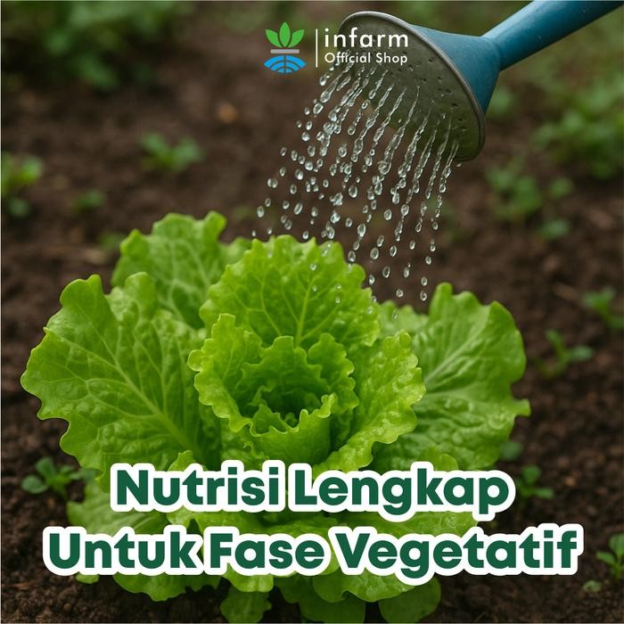 

Promo Infarm - Pupuk Daun Organik 500 Ml Ready To Use Suplemen Kesuburan Daun Nutrisi Tanaman Hias