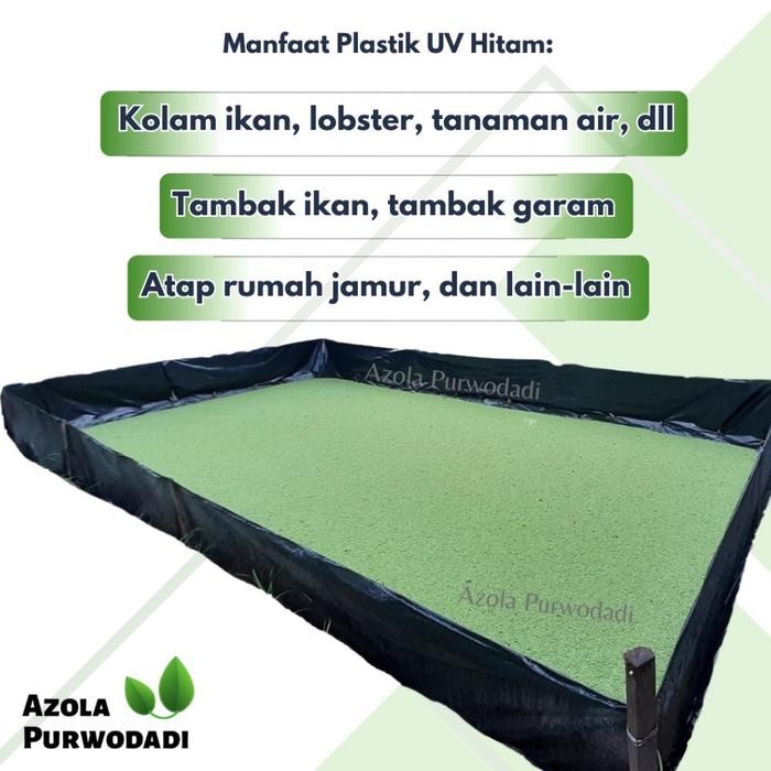 PLASTIK UV HITAM 100 MICRON 4 X 3 METER UNTUK TAMBAK/KOLAM