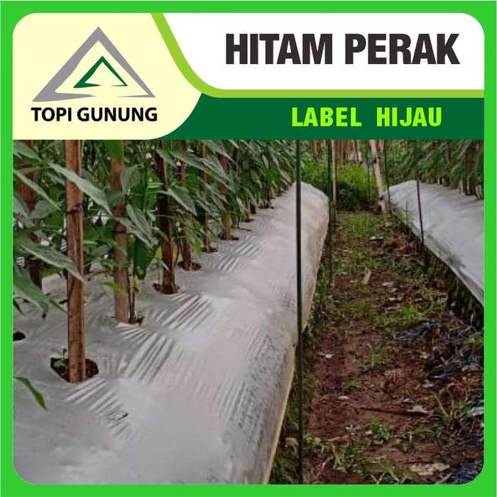 Bestbuy04 Mulsa Topi Gunung - Hitam Perak Kecil - 8.5Kg - Label Hijau