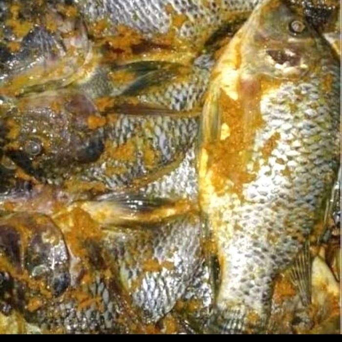 

Pilihan- Ikan Mujair Bumbu Kuning - Ikan Mujair Siap Goreng 500 Gr