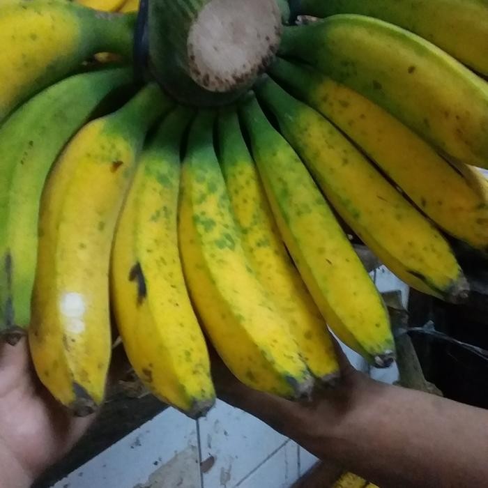 Pilihan- Pisang Raja Buluh Sukabumi/Ukuran Jumbo