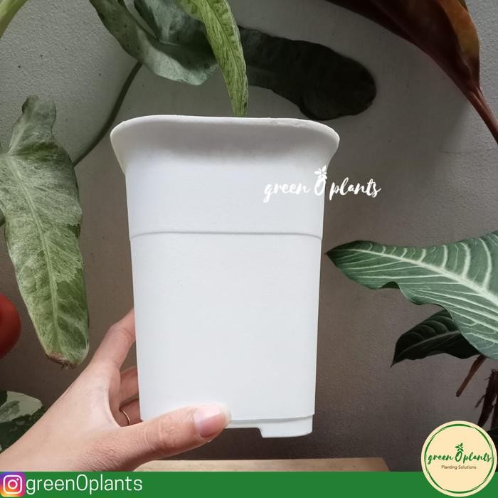 Pot Bunga Tanaman Plastik NKT Kotak 12 Putih
