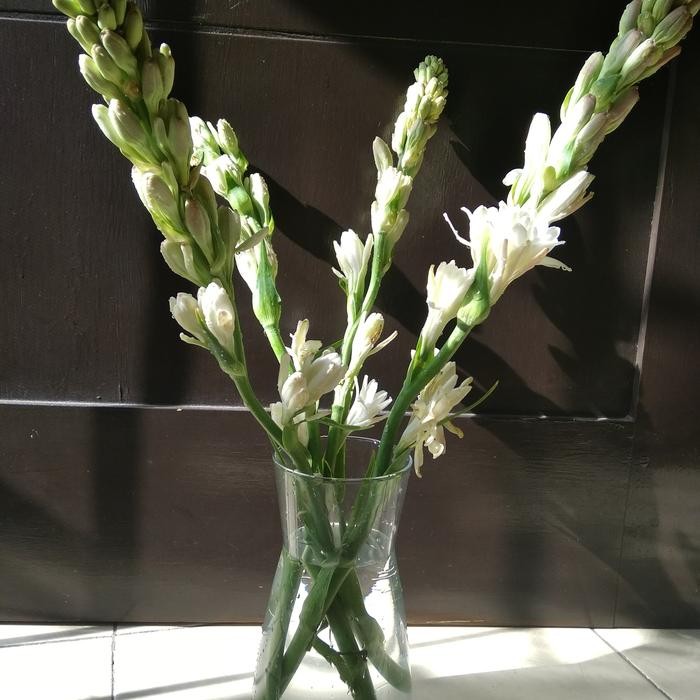 Vas Bunga Kaca / Jar Minuman / Aquarium Ikan Cupang / Akuarium Vas